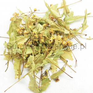 Lipa (kwiat)