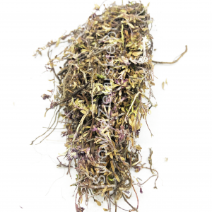 Macierzanka piaskowa (ziele)