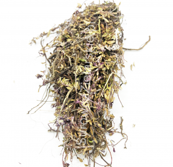 Macierzanka piaskowa (ziele)