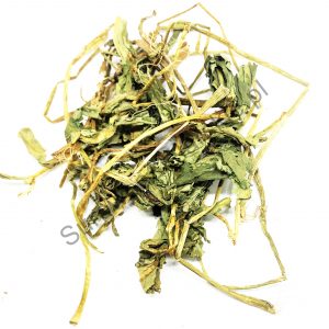 Bobrek trójlistkowy (liść)