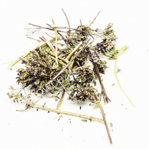 Lebiodka pospolita (oregano) (ziele)