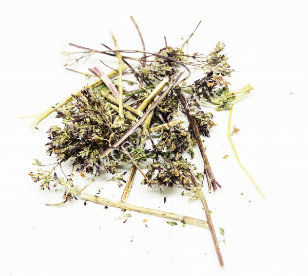 Lebiodka pospolita (oregano) (ziele)