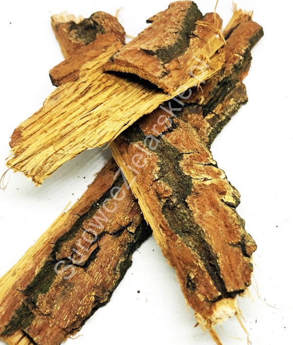 Dąb (kora)
