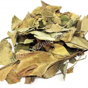 Ginkgo biloba (liść)