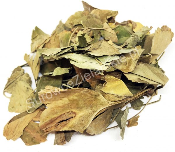 Ginkgo biloba (liść)